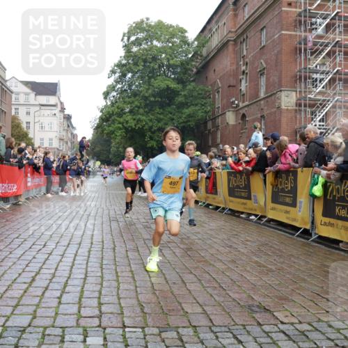 13.09.2026 - Kiel Lauf Yannick Fuchs http://msf.ph/oto/10277384 13.09.2026 08:50:29 Ziel 3487, 7511, 10359, 1710, 2909, 3167, 5168, 5258, 8786, 11542, 497, 2125, 2443, 3106, 5792, 9612, 10987, 10319 meine-sportfotos.de