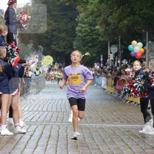 13.09.2026 - Kiel Lauf Yannick Fuchs http://msf.ph/oto/10277447 13.09.2026 08:50:33 Ziel 2443, 7511, 10359, 1710, 2909, 3167, 3487, 5168, 5258, 8786, 11542, 497, 2125, 3106, 5792, 5959, 9612, 10987 meine-sportfotos.de