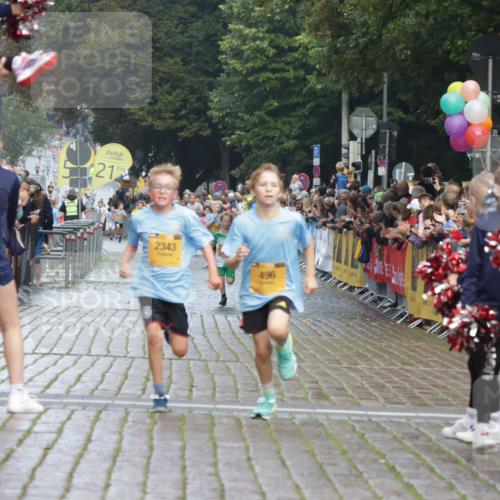 13.09.2026 - Kiel Lauf Yannick Fuchs http://msf.ph/oto/10277557 13.09.2026 08:50:39 Ziel 2443, 5792, 7511, 10359, 1710, 2909, 3167, 3487, 8786, 10359, 11542, 496, 497, 2125, 2343, 3106, 5959, 9612, 10957, 10987, 2909, 5168, 5258 meine-sportfotos.de