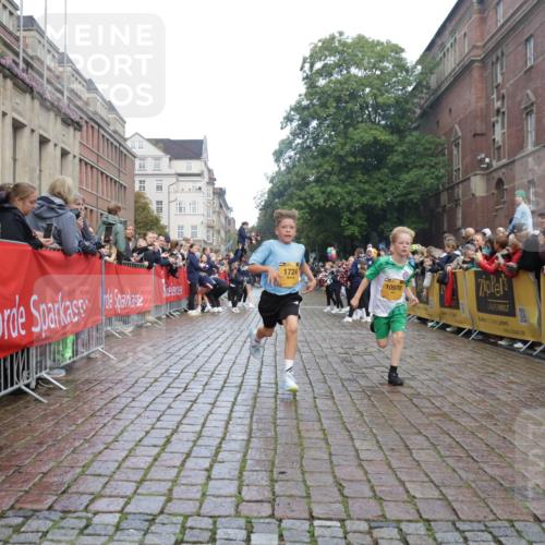 13.09.2026 - Kiel Lauf Yannick Fuchs http://msf.ph/oto/10277710 13.09.2026 08:50:50 Ziel 497, 2125, 3106, 5792, 5959, 9612, 10957, 10987, 2443, 3167, 3487, 7511, 10359, 496, 1724, 2343, 10970, 1710, 3167, 8786, 11542 meine-sportfotos.de
