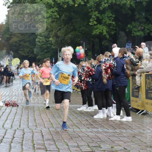 13.09.2026 - Kiel Lauf Yannick Fuchs http://msf.ph/oto/10277759 13.09.2026 08:50:52 Ziel 497, 2125, 3106, 5792, 5959, 9612, 10957, 10987, 2443, 3167, 3487, 5792, 7511, 10359, 496, 1724, 2343, 10463, 10970, 11688, 3167, 8786, 11542 meine-sportfotos.de