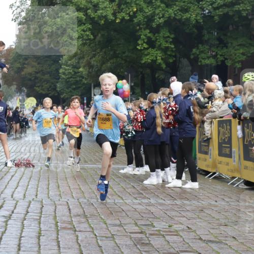 13.09.2026 - Kiel Lauf Yannick Fuchs http://msf.ph/oto/10277765 13.09.2026 08:50:52 Ziel 497, 2125, 3106, 5792, 5959, 9612, 10957, 10987, 2443, 3167, 3487, 5792, 7511, 10359, 496, 1724, 2343, 10463, 10970, 11688, 3167, 8786, 11542 meine-sportfotos.de