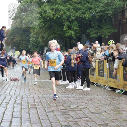 13.09.2026 - Kiel Lauf Yannick Fuchs http://msf.ph/oto/10277770 13.09.2026 08:50:52 Ziel 497, 2125, 3106, 5792, 5959, 9612, 10957, 10987, 2443, 3167, 3487, 5792, 7511, 10359, 496, 1724, 2343, 10463, 10970, 11688, 3167, 8786, 11542 meine-sportfotos.de