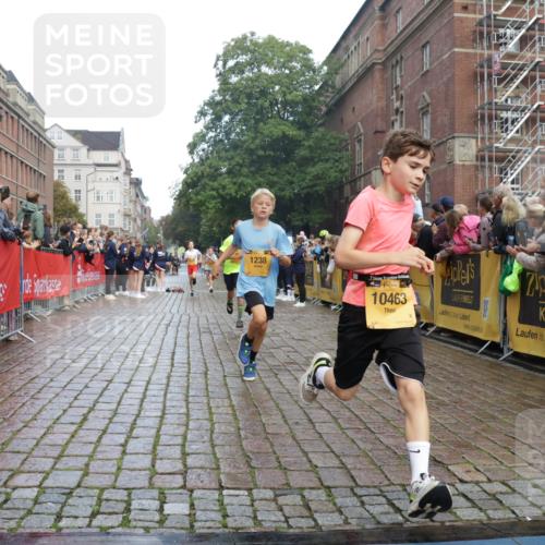13.09.2026 - Kiel Lauf Yannick Fuchs http://msf.ph/oto/10277859 13.09.2026 08:50:56 Ziel 496, 497, 2343, 5959, 9612, 10957, 10987, 497, 2125, 2443, 3106, 3487, 5792, 7511, 9612, 10359, 1238, 1724, 4159, 5010, 7033, 10463, 10970, 11688, 3167, 3487 meine-sportfotos.de