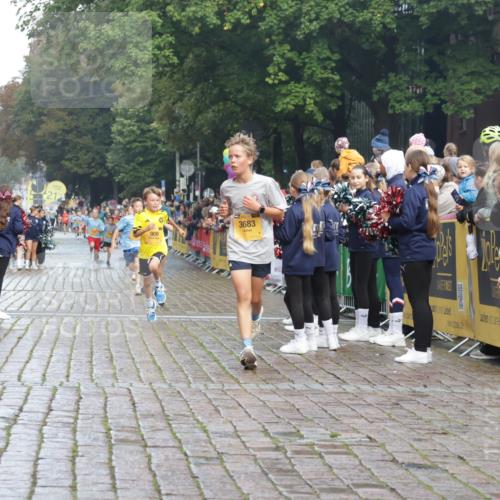 13.09.2026 - Kiel Lauf Yannick Fuchs http://msf.ph/oto/10277956 13.09.2026 08:51:00 Ziel 496, 2343, 5959, 10957, 497, 2125, 2443, 3106, 5792, 7511, 9612, 10359, 10987, 909, 1238, 1724, 3683, 4159, 5010, 7033, 10463, 10970, 11688, 3487 meine-sportfotos.de