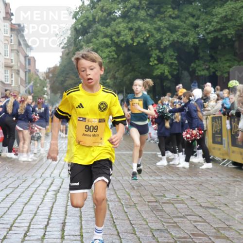 13.09.2026 - Kiel Lauf Yannick Fuchs http://msf.ph/oto/10278003 13.09.2026 08:51:03 Ziel 496, 1724, 2343, 10957, 10970, 497, 2125, 2443, 3106, 5792, 5959, 7511, 9612, 10359, 10987, 909, 1238, 3683, 4159, 4741, 5010, 5211, 7033, 10463, 11688, 3487, 10359 meine-sportfotos.de