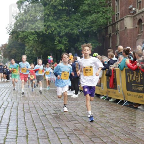 13.09.2026 - Kiel Lauf Yannick Fuchs http://msf.ph/oto/10278109 13.09.2026 08:51:08 Ziel 496, 1238, 1724, 2343, 10463, 10970, 11688, 497, 2125, 2443, 3106, 5792, 5959, 7511, 9612, 10957, 10987, 444, 909, 3683, 4159, 4741, 5010, 5211, 5439, 7033, 8657, 8883, 9379, 9929, 2443, 7511, 10359 meine-sportfotos.de