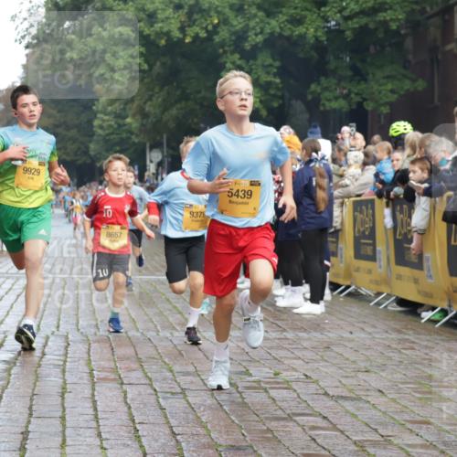 13.09.2026 - Kiel Lauf Yannick Fuchs http://msf.ph/oto/10278151 13.09.2026 08:51:09 Ziel 496, 1238, 1724, 2343, 5010, 10463, 10970, 11688, 496, 497, 2125, 2343, 2443, 3106, 5792, 5959, 9612, 10957, 10987, 444, 909, 3683, 4159, 4741, 5211, 5439, 6699, 7033, 8657, 8883, 9379, 9929, 2443, 7511, 10359 meine-sportfotos.de