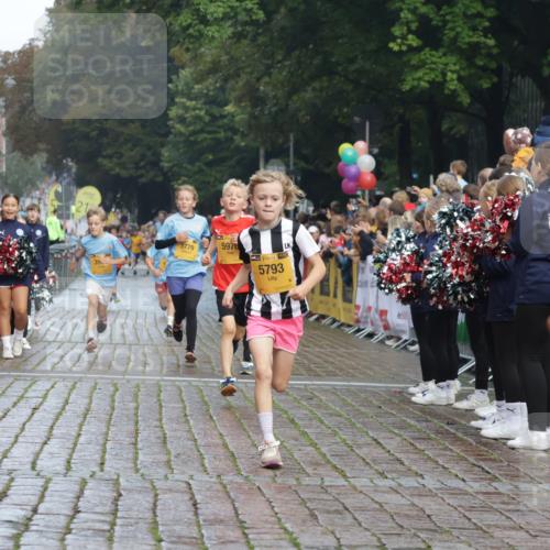 13.09.2026 - Kiel Lauf Yannick Fuchs http://msf.ph/oto/10278288 13.09.2026 08:51:16 Ziel 909, 1238, 1724, 3683, 4159, 4741, 5010, 7033, 10463, 10970, 11688, 496, 497, 2125, 2343, 3106, 5792, 5959, 9612, 10957, 10987, 444, 1243, 5211, 5439, 5793, 5906, 6699, 8206, 8657, 8883, 9379, 9929, 2443, 5792 meine-sportfotos.de