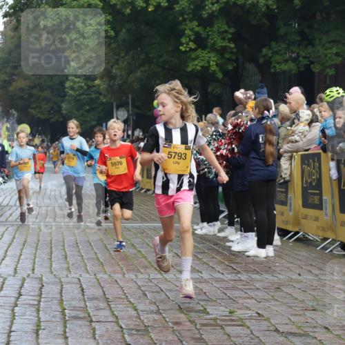 13.09.2026 - Kiel Lauf Yannick Fuchs http://msf.ph/oto/10278299 13.09.2026 08:51:17 Ziel 909, 1238, 1724, 3683, 4159, 4741, 5010, 5211, 7033, 10463, 10970, 11688, 496, 497, 1724, 2125, 2343, 3106, 5792, 5959, 9612, 10957, 10970, 10987, 444, 1243, 5439, 5793, 5906, 5976, 6699, 8206, 8657, 8883, 9379, 9929, 2125, 2443, 3106, 5792 meine-sportfotos.de