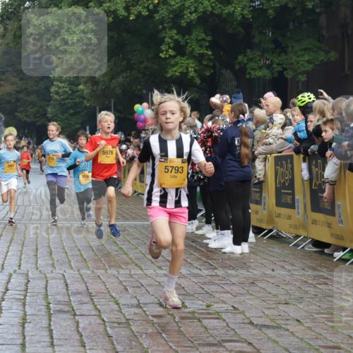13.09.2026 - Kiel Lauf Yannick Fuchs http://msf.ph/oto/10278305 13.09.2026 08:51:17 Ziel 909, 1238, 1724, 3683, 4159, 4741, 5010, 5211, 7033, 10463, 10970, 11688, 496, 497, 1724, 2125, 2343, 3106, 5792, 5959, 9612, 10957, 10970, 10987, 444, 1243, 5439, 5793, 5906, 5976, 6699, 8206, 8657, 8883, 9379, 9929, 2125, 2443, 3106, 5792 meine-sportfotos.de
