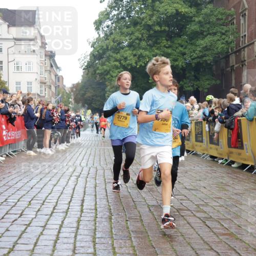 13.09.2026 - Kiel Lauf Yannick Fuchs http://msf.ph/oto/10278390 13.09.2026 08:51:21 Ziel 444, 909, 1238, 3683, 4159, 4741, 5010, 5211, 7033, 8883, 10463, 11688, 496, 497, 1724, 2343, 5959, 9612, 10957, 10970, 10987, 11688, 1243, 3779, 3901, 5130, 5439, 5793, 5906, 5976, 6532, 6699, 7521, 8206, 8538, 8657, 9379, 9929, 497, 2125, 3106, 5792, 9612, 10987 meine-sportfotos.de