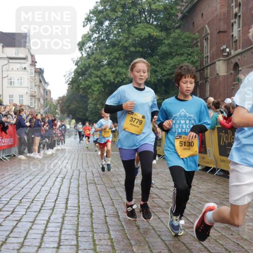 13.09.2026 - Kiel Lauf Yannick Fuchs http://msf.ph/oto/10278401 13.09.2026 08:51:22 Ziel 444, 909, 1238, 3683, 4159, 4741, 5010, 5211, 5439, 7033, 8883, 9929, 10463, 496, 1724, 2343, 5959, 10463, 10957, 10970, 10987, 11688, 1243, 3779, 3901, 5130, 5793, 5906, 5976, 6532, 6699, 7521, 8206, 8538, 8657, 9379, 12467, 497, 2125, 3106, 5792, 9612, 10987 meine-sportfotos.de