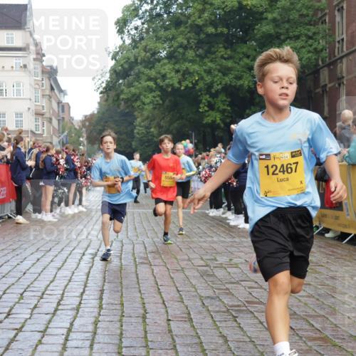 13.09.2026 - Kiel Lauf Yannick Fuchs http://msf.ph/oto/10278470 13.09.2026 08:51:25 Ziel 444, 909, 3683, 4159, 4741, 5211, 5439, 5906, 6699, 7033, 8657, 8883, 9379, 9929, 496, 1238, 1724, 2343, 5010, 5959, 7033, 10463, 10957, 10970, 11688, 1210, 1243, 3779, 3901, 5130, 5580, 5793, 5976, 6532, 7521, 8206, 8538, 11448, 12467, 497, 2125, 3106, 5959, 9612, 10987 meine-sportfotos.de