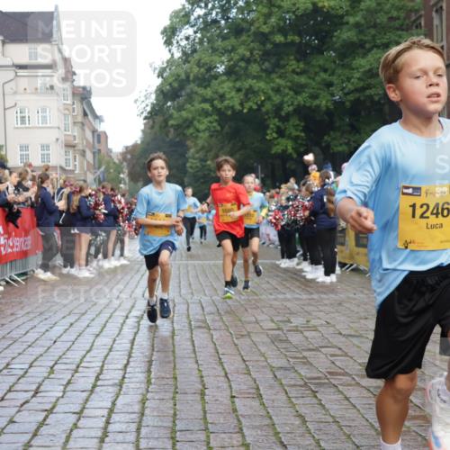 13.09.2026 - Kiel Lauf Yannick Fuchs http://msf.ph/oto/10278476 13.09.2026 08:51:26 Ziel 444, 909, 3683, 4159, 4741, 5211, 5439, 5906, 6699, 8206, 8657, 8883, 9379, 9929, 496, 1238, 1724, 2343, 4159, 5010, 5959, 7033, 10463, 10957, 10970, 11688, 1210, 1243, 3779, 3901, 5130, 5580, 5793, 5976, 6532, 7521, 8538, 11448, 12467, 497, 2125, 3106, 5959, 9612, 10957, 10987 meine-sportfotos.de
