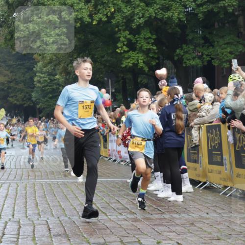 13.09.2026 - Kiel Lauf Yannick Fuchs http://msf.ph/oto/10278530 13.09.2026 08:51:29 Ziel 444, 909, 1243, 3683, 4741, 5211, 5439, 5906, 6699, 8206, 8657, 8883, 9379, 9929, 496, 1238, 1724, 2343, 4159, 5010, 7033, 10463, 10957, 10970, 11688, 1210, 1572, 3779, 3901, 5130, 5169, 5580, 5793, 5976, 6532, 7521, 8538, 11448, 12102, 12467, 5959, 10957, 10987 meine-sportfotos.de