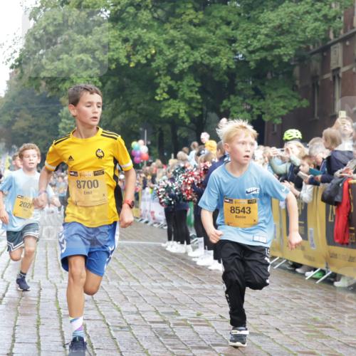 13.09.2026 - Kiel Lauf Yannick Fuchs http://msf.ph/oto/10278594 13.09.2026 08:51:34 Ziel 444, 1243, 3779, 3901, 5130, 5439, 5793, 5906, 5976, 6699, 8206, 8538, 8657, 8883, 9379, 9929, 496, 909, 1238, 1724, 2343, 3683, 4159, 4741, 5010, 5211, 7033, 10463, 10970, 11688, 1210, 1572, 2020, 5169, 5580, 6532, 7171, 7521, 8543, 8700, 11448, 12102, 12467, 496, 2343, 5959, 10957 meine-sportfotos.de
