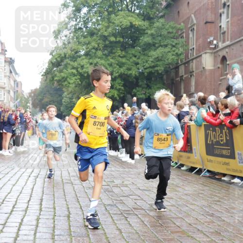 13.09.2026 - Kiel Lauf Yannick Fuchs http://msf.ph/oto/10278607 13.09.2026 08:51:34 Ziel 444, 1243, 3779, 3901, 5130, 5439, 5793, 5906, 5976, 6699, 8206, 8538, 8657, 8883, 9379, 9929, 496, 909, 1238, 1724, 2343, 3683, 4159, 4741, 5010, 5211, 7033, 10463, 10970, 11688, 1210, 1572, 2020, 5169, 5580, 6532, 7171, 7521, 8543, 8700, 11448, 12102, 12467, 496, 2343, 5959, 10957 meine-sportfotos.de