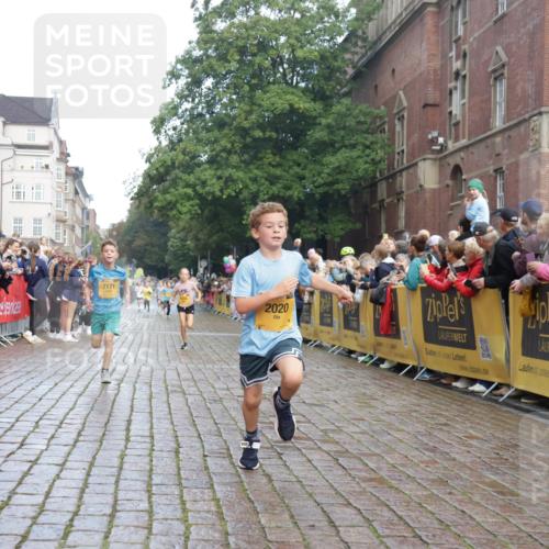 13.09.2026 - Kiel Lauf Yannick Fuchs http://msf.ph/oto/10278624 13.09.2026 08:51:35 Ziel 444, 1243, 3779, 3901, 5130, 5439, 5793, 5906, 5976, 6532, 6699, 7521, 8206, 8538, 8657, 8883, 9379, 9929, 909, 1238, 1724, 3683, 4159, 4741, 5010, 5211, 7033, 8883, 10463, 10970, 11688, 1210, 1572, 2020, 5169, 5580, 6205, 7171, 8543, 8700, 11448, 12102, 12467, 496, 2343, 10957 meine-sportfotos.de