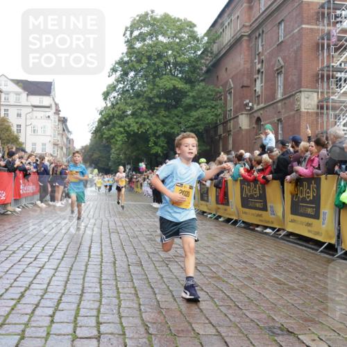 13.09.2026 - Kiel Lauf Yannick Fuchs http://msf.ph/oto/10278629 13.09.2026 08:51:35 Ziel 444, 1243, 3779, 3901, 5130, 5439, 5793, 5906, 5976, 6532, 6699, 7521, 8206, 8538, 8657, 8883, 9379, 9929, 909, 1238, 1724, 3683, 4159, 4741, 5010, 5211, 7033, 8883, 10463, 10970, 11688, 1210, 1572, 2020, 5169, 5580, 6205, 7171, 8543, 8700, 11448, 12102, 12467, 496, 2343, 10957 meine-sportfotos.de