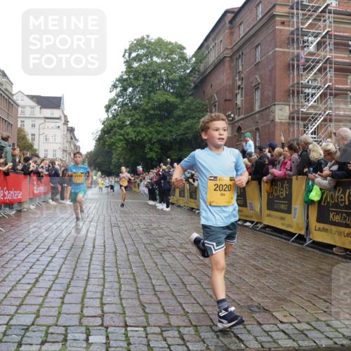 13.09.2026 - Kiel Lauf Yannick Fuchs http://msf.ph/oto/10278642 13.09.2026 08:51:36 Ziel 444, 1243, 3779, 3901, 5130, 5439, 5793, 5906, 5976, 6532, 6699, 7521, 8206, 8538, 8657, 9379, 9929, 444, 909, 1238, 1724, 3683, 4159, 4741, 5010, 5211, 7033, 8883, 10463, 10970, 11688, 1210, 1572, 2020, 5169, 5580, 6205, 7171, 8543, 8700, 11448, 12102, 12467, 496, 2343, 10957 meine-sportfotos.de
