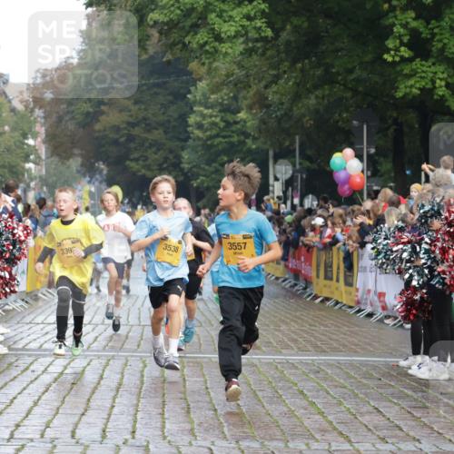13.09.2026 - Kiel Lauf Yannick Fuchs http://msf.ph/oto/10278710 13.09.2026 08:51:40 Ziel 1210, 1243, 3779, 3901, 5130, 5580, 5793, 5906, 5976, 6532, 7521, 8206, 8538, 11448, 12467, 444, 909, 1238, 1724, 3683, 4159, 4741, 5010, 5211, 5439, 5906, 6699, 7033, 8657, 8883, 9379, 9929, 10463, 10970, 11688, 1572, 2020, 3538, 3557, 5169, 6205, 7171, 8543, 8700, 12102, 496, 1724, 2343, 10970 meine-sportfotos.de