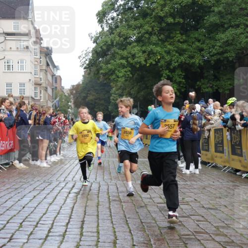 13.09.2026 - Kiel Lauf Yannick Fuchs http://msf.ph/oto/10278745 13.09.2026 08:51:42 Ziel 1210, 1243, 1572, 3779, 3901, 5130, 5169, 5580, 5793, 5976, 6532, 7521, 8538, 11448, 12467, 444, 909, 1238, 1724, 3683, 4159, 4741, 5010, 5211, 5439, 5906, 6699, 7033, 8206, 8657, 8883, 9379, 9929, 10463, 10970, 11688, 2020, 3392, 3538, 3557, 5810, 6205, 7171, 8543, 8700, 12102, 1724, 10970 meine-sportfotos.de