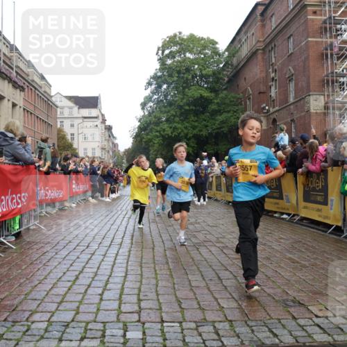 13.09.2026 - Kiel Lauf Yannick Fuchs http://msf.ph/oto/10278768 13.09.2026 08:51:43 Ziel 1210, 1243, 1572, 3779, 3901, 5130, 5169, 5580, 5793, 5976, 6532, 7521, 8538, 11448, 12467, 444, 909, 1238, 1243, 3683, 4159, 4741, 5010, 5211, 5439, 5906, 6699, 7033, 8206, 8657, 8883, 9379, 9929, 10463, 11688, 2020, 3392, 3538, 3557, 5810, 6205, 6372, 7171, 8543, 8700, 12102, 1724, 10970, 11688 meine-sportfotos.de