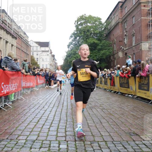 13.09.2026 - Kiel Lauf Yannick Fuchs http://msf.ph/oto/10278819 13.09.2026 08:51:45 Ziel 1210, 1572, 3779, 3901, 5130, 5169, 5580, 5793, 5976, 6532, 7521, 8538, 11448, 12102, 12467, 444, 909, 1238, 1243, 3683, 4159, 4741, 5010, 5211, 5439, 5793, 5906, 6699, 7033, 8206, 8657, 8883, 9379, 9929, 10463, 11688, 2020, 3392, 3538, 3557, 5810, 6205, 6372, 7171, 8543, 8700, 11608, 1238, 1724, 10463, 10970, 11688 meine-sportfotos.de