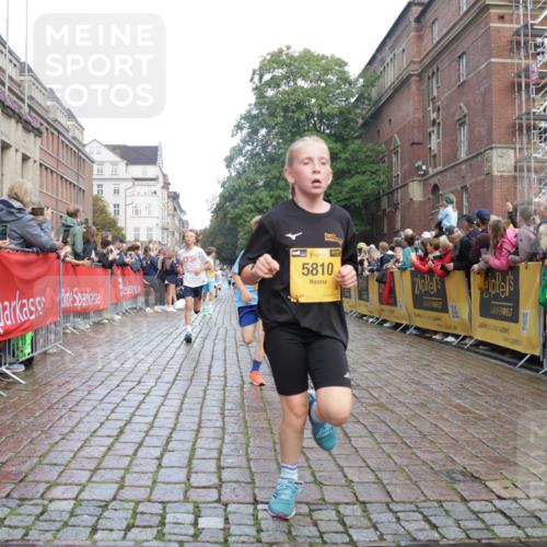 13.09.2026 - Kiel Lauf Yannick Fuchs http://msf.ph/oto/10278825 13.09.2026 08:51:46 Ziel 1210, 1572, 3779, 3901, 5130, 5169, 5580, 5976, 6532, 7521, 8538, 8543, 8700, 11448, 12102, 12467, 444, 909, 1238, 1243, 3683, 4159, 4741, 5010, 5211, 5439, 5793, 5906, 6699, 7033, 8206, 8657, 8883, 9379, 9929, 10463, 11688, 2020, 3392, 3538, 3557, 5810, 6205, 6372, 7171, 10826, 11608, 1238, 1724, 5010, 10463, 10970, 11688 meine-sportfotos.de