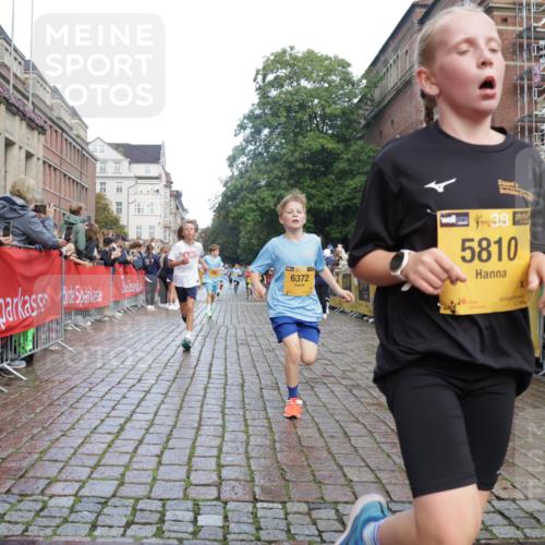 13.09.2026 - Kiel Lauf Yannick Fuchs http://msf.ph/oto/10278830 13.09.2026 08:51:46 Ziel 1210, 1572, 3779, 3901, 5130, 5169, 5580, 5976, 6532, 7521, 8538, 8543, 8700, 11448, 12102, 12467, 444, 909, 1238, 1243, 3683, 4159, 4741, 5010, 5211, 5439, 5793, 5906, 6699, 7033, 8206, 8657, 8883, 9379, 9929, 10463, 11688, 2020, 3392, 3538, 3557, 5810, 6205, 6372, 7171, 10826, 11608, 1238, 1724, 5010, 10463, 10970, 11688 meine-sportfotos.de