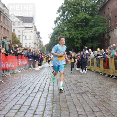 13.09.2026 - Kiel Lauf Yannick Fuchs http://msf.ph/oto/10278866 13.09.2026 08:51:48 Ziel 1210, 1572, 2020, 3779, 3901, 5130, 5169, 5580, 6532, 7171, 7521, 8538, 8543, 8700, 11448, 12102, 12467, 444, 909, 1238, 1243, 3683, 3901, 4159, 4741, 5010, 5130, 5211, 5439, 5793, 5906, 5976, 6699, 7033, 8206, 8657, 8883, 9379, 9929, 2015, 3392, 3538, 3557, 5810, 6205, 6372, 8477, 8736, 10826, 11608, 1238, 1724, 4159, 5010, 7033, 10463, 10970, 11688 meine-sportfotos.de