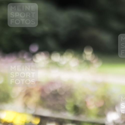 13.09.2026 - Stadtparktriathlon H.Heesch http://msf.ph/oto/10278980 13.09.2026 10:44:23 Radfahren 342, 499, 582 meine-sportfotos.de