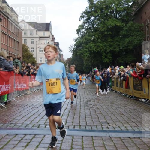 13.09.2026 - Kiel Lauf Yannick Fuchs http://msf.ph/oto/10279210 13.09.2026 08:52:12 Ziel 2015, 3178, 3871, 5810, 6372, 6937, 7034, 8477, 8736, 10102, 10826, 11608, 11752, 1210, 1572, 2020, 3392, 3538, 3557, 3779, 3901, 5130, 5169, 5580, 5810, 5976, 6205, 6532, 7171, 7521, 8538, 8543, 8700, 11448, 12102, 12467, 1647, 1809, 3782, 5075, 6517, 7881, 9381, 10396, 1243, 3779, 3901, 5130, 5793, 5906, 5976, 6532, 7521, 8206, 8538 meine-sportfotos.de