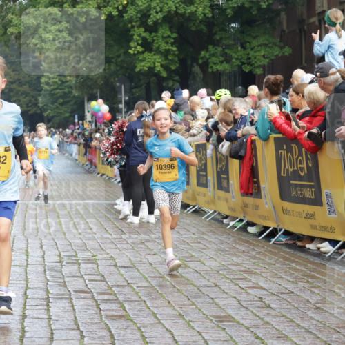 13.09.2026 - Kiel Lauf Yannick Fuchs http://msf.ph/oto/10279215 13.09.2026 08:52:13 Ziel 2015, 3178, 3871, 6372, 6937, 7034, 8477, 8736, 10102, 10826, 11608, 11752, 1210, 1572, 2020, 3392, 3538, 3557, 3779, 3901, 5130, 5169, 5580, 5810, 6205, 6372, 6532, 7171, 7521, 8538, 8543, 8700, 11448, 12102, 12467, 1647, 1809, 3782, 5075, 6517, 7881, 9381, 10396, 1243, 3779, 3901, 5130, 5793, 5976, 6532, 7521, 8206, 8538 meine-sportfotos.de