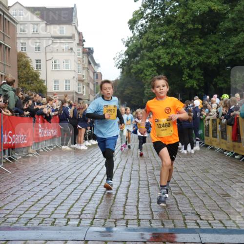 13.09.2026 - Kiel Lauf Yannick Fuchs http://msf.ph/oto/10279310 13.09.2026 08:52:20 Ziel 1647, 1809, 3178, 3871, 6517, 6937, 7034, 9381, 10102, 11752, 1210, 1572, 2015, 2020, 3178, 3392, 3538, 3557, 5169, 5810, 6205, 6372, 7171, 8477, 8543, 8700, 8736, 10826, 11608, 12102, 1799, 2613, 3782, 5075, 7881, 7894, 10396, 10779, 12460, 1210, 1572, 3779, 3901, 5130, 5169, 5580, 6532, 7521, 8538, 11448, 12467 meine-sportfotos.de