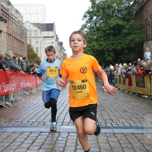 13.09.2026 - Kiel Lauf Yannick Fuchs http://msf.ph/oto/10279323 13.09.2026 08:52:21 Ziel 1647, 1809, 3871, 6517, 6937, 7034, 9381, 10102, 11752, 1572, 2015, 2020, 3178, 3392, 3538, 3557, 5169, 5810, 6205, 6372, 7034, 7171, 8477, 8543, 8700, 8736, 10826, 11608, 12102, 1799, 2613, 3782, 5075, 5121, 7881, 7894, 8745, 10396, 10779, 12460, 1210, 1572, 3779, 5169, 5580, 6532, 7521, 8538, 11448, 12102, 12467 meine-sportfotos.de