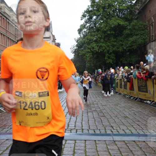 13.09.2026 - Kiel Lauf Yannick Fuchs http://msf.ph/oto/10279333 13.09.2026 08:52:21 Ziel 1647, 1809, 3871, 6517, 6937, 7034, 9381, 10102, 11752, 1572, 2015, 2020, 3178, 3392, 3538, 3557, 5169, 5810, 6205, 6372, 7034, 7171, 8477, 8543, 8700, 8736, 10826, 11608, 12102, 1799, 2613, 3782, 5075, 5121, 7881, 7894, 8745, 10396, 10779, 12460, 1210, 1572, 3779, 5169, 5580, 6532, 7521, 8538, 11448, 12102, 12467 meine-sportfotos.de