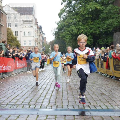 13.09.2026 - Kiel Lauf Yannick Fuchs http://msf.ph/oto/10279360 13.09.2026 08:52:23 Ziel 1647, 1809, 3871, 6517, 6937, 7881, 9381, 10102, 11752, 2015, 2020, 3178, 3392, 3538, 3557, 5810, 6205, 6372, 7034, 7171, 8477, 8543, 8700, 8736, 10826, 11608, 12102, 1799, 2613, 3782, 5075, 5121, 5334, 7894, 8745, 10396, 10779, 12460, 1210, 1572, 5169, 5580, 8543, 8700, 11448, 12102, 12467 meine-sportfotos.de