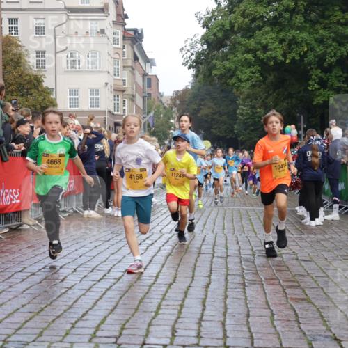 13.09.2026 - Kiel Lauf Yannick Fuchs http://msf.ph/oto/10279410 13.09.2026 08:52:27 Ziel 1647, 1809, 3782, 5075, 6517, 6937, 7881, 9381, 10396, 11752, 2015, 2020, 3178, 3392, 3538, 3557, 3871, 5810, 6205, 6372, 6937, 7034, 7171, 8477, 8736, 10102, 10826, 11608, 11752, 1799, 2613, 4158, 4668, 5121, 5334, 7894, 8745, 10414, 10779, 11248, 12454, 12460, 1210, 1572, 2020, 5169, 6205, 7171, 8543, 8700, 12102 meine-sportfotos.de
