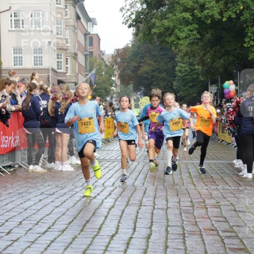 13.09.2026 - Kiel Lauf Yannick Fuchs http://msf.ph/oto/10279441 13.09.2026 08:52:30 Ziel 1647, 1809, 3782, 5075, 6517, 7881, 9381, 10396, 10779, 2015, 3178, 3392, 3538, 3557, 3871, 5810, 6205, 6372, 6937, 7034, 8477, 8736, 10102, 10826, 11608, 11752, 1799, 2402, 2609, 2613, 4158, 4668, 5121, 5334, 5405, 6283, 7025, 7423, 7894, 8745, 10414, 11248, 12397, 12454, 12460, 2020, 6205, 7171, 8543, 8700, 12102 meine-sportfotos.de
