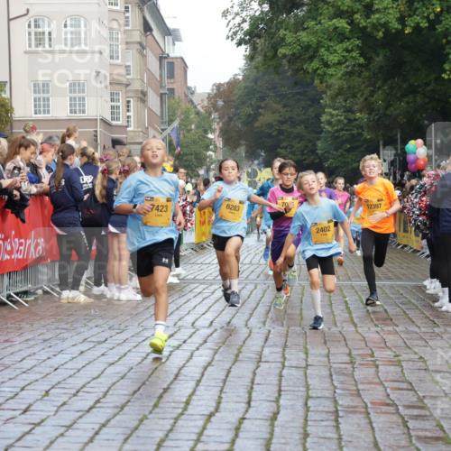 13.09.2026 - Kiel Lauf Yannick Fuchs http://msf.ph/oto/10279443 13.09.2026 08:52:30 Ziel 1647, 1809, 3782, 5075, 6517, 7881, 9381, 10396, 10779, 2015, 3178, 3392, 3538, 3557, 3871, 5810, 6205, 6372, 6937, 7034, 8477, 8736, 10102, 10826, 11608, 11752, 1799, 2402, 2609, 2613, 4158, 4668, 5121, 5334, 5405, 6283, 7025, 7423, 7894, 8745, 10414, 11248, 12397, 12454, 12460, 2020, 6205, 7171, 8543, 8700, 12102 meine-sportfotos.de