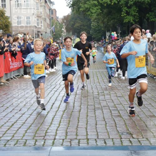 13.09.2026 - Kiel Lauf Yannick Fuchs http://msf.ph/oto/10279566 13.09.2026 08:52:39 Ziel 1799, 2613, 3782, 5075, 5121, 5334, 7894, 8745, 10396, 10779, 12460, 1647, 1809, 2015, 3178, 3871, 6517, 6937, 7034, 7881, 8477, 8736, 9381, 10102, 10826, 11608, 11752, 237, 1263, 2402, 2609, 4158, 4668, 5147, 5149, 5373, 5405, 6210, 6283, 7025, 7423, 7611, 10024, 10414, 10627, 10991, 11248, 11706, 12397, 12454, 12488, 2015, 3392, 3538, 3557, 5810, 6372, 8736, 10826, 11608 meine-sportfotos.de