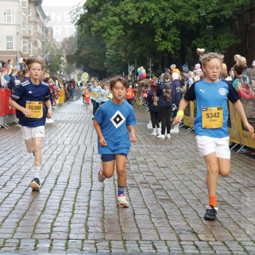 13.09.2026 - Kiel Lauf Yannick Fuchs http://msf.ph/oto/10279732 13.09.2026 08:52:51 Ziel 237, 2402, 2609, 4158, 4668, 5121, 5147, 5149, 5334, 5405, 6210, 6283, 7025, 7423, 7611, 8745, 10024, 10414, 10991, 11248, 12397, 12454, 12488, 1647, 1799, 1809, 2613, 3782, 3871, 5075, 5121, 6517, 6937, 7881, 7894, 8745, 9381, 10102, 10396, 10779, 11752, 12460, 1263, 4756, 5342, 5373, 6579, 7085, 8018, 8510, 8601, 10390, 10627, 11706, 3178, 3871, 6937, 7034, 10102, 11752 meine-sportfotos.de