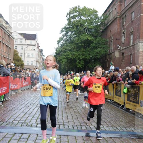 13.09.2026 - Kiel Lauf Yannick Fuchs http://msf.ph/oto/10279946 13.09.2026 08:53:07 Ziel 1263, 4060, 4756, 5342, 5373, 5436, 6579, 7085, 8018, 8510, 8601, 10390, 10627, 11706, 237, 1799, 2402, 2609, 2613, 4158, 4668, 5121, 5147, 5149, 5334, 5405, 6210, 6283, 7025, 7423, 7611, 7894, 8745, 10024, 10414, 10627, 10779, 10991, 11248, 11706, 12397, 12454, 12460, 12488, 347, 1919, 2570, 2614, 2743, 2985, 3316, 3328, 3419, 4291, 5284, 5344, 6103, 6846, 6894, 6979, 7170, 7875, 8095, 8541, 8819, 8947, 9410, 11455, 12168, 3782, 5075, 7881 meine-sportfotos.de