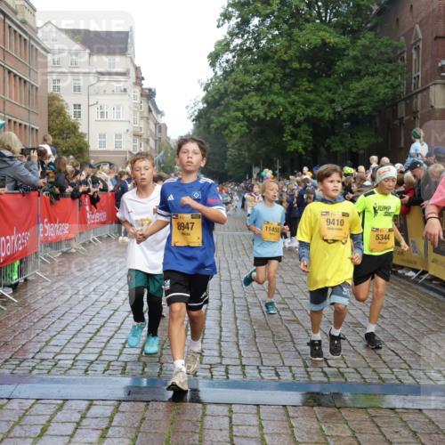 13.09.2026 - Kiel Lauf Yannick Fuchs http://msf.ph/oto/10279964 13.09.2026 08:53:08 Ziel 1263, 4060, 4756, 5342, 5373, 5436, 6579, 7085, 8018, 8510, 8601, 10390, 237, 1263, 1799, 2402, 2609, 2613, 4158, 4668, 5121, 5147, 5149, 5334, 5405, 6210, 6283, 7025, 7423, 7611, 7894, 8745, 10024, 10414, 10627, 10779, 10991, 11248, 11706, 12397, 12454, 12460, 12488, 347, 1919, 2570, 2614, 2743, 2985, 3210, 3316, 3328, 3419, 4291, 5284, 5344, 6103, 6846, 6894, 6979, 7170, 7635, 7875, 8095, 8541, 8819, 8947, 9410, 11455, 12168, 3782, 5075, 7881 meine-sportfotos.de