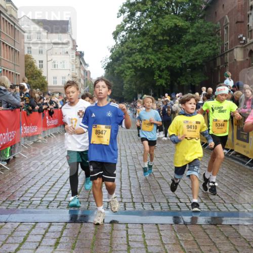 13.09.2026 - Kiel Lauf Yannick Fuchs http://msf.ph/oto/10279968 13.09.2026 08:53:08 Ziel 1263, 4060, 4756, 5342, 5373, 5436, 6579, 7085, 8018, 8510, 8601, 10390, 237, 1263, 1799, 2402, 2609, 2613, 4158, 4668, 5121, 5147, 5149, 5334, 5405, 6210, 6283, 7025, 7423, 7611, 7894, 8745, 10024, 10414, 10627, 10779, 10991, 11248, 11706, 12397, 12454, 12460, 12488, 347, 1919, 2570, 2614, 2743, 2985, 3210, 3316, 3328, 3419, 4291, 5284, 5344, 6103, 6846, 6894, 6979, 7170, 7635, 7875, 8095, 8541, 8819, 8947, 9410, 11455, 12168, 3782, 5075, 7881 meine-sportfotos.de