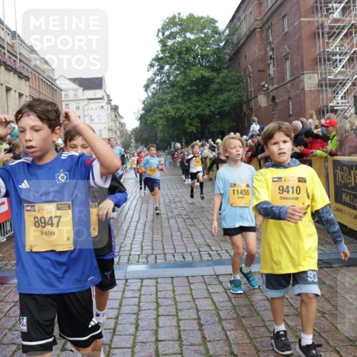 13.09.2026 - Kiel Lauf Yannick Fuchs http://msf.ph/oto/10279989 13.09.2026 08:53:10 Ziel 2985, 3316, 4060, 4756, 5342, 5436, 6579, 7085, 8018, 8510, 8601, 10390, 237, 1263, 1799, 2402, 2609, 2613, 4158, 4668, 5121, 5147, 5149, 5334, 5373, 5405, 6210, 6283, 7025, 7423, 7611, 7894, 8745, 10024, 10414, 10627, 10779, 10991, 11248, 11706, 12397, 12454, 12460, 12488, 347, 1159, 1919, 2570, 2614, 2743, 3210, 3328, 3419, 4291, 5284, 5344, 6103, 6846, 6894, 6979, 7170, 7240, 7635, 7875, 8095, 8541, 8819, 8857, 8947, 9410, 10122, 11455, 12168, 2613, 3782, 5075, 7881 meine-sportfotos.de