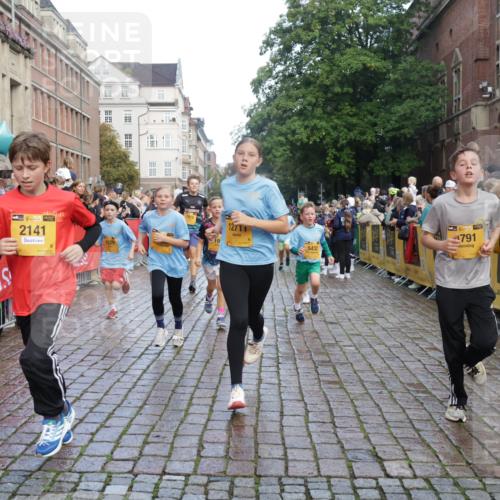 13.09.2026 - Kiel Lauf Yannick Fuchs http://msf.ph/oto/10280380 13.09.2026 08:53:36 Ziel 888, 1149, 1159, 2016, 2614, 3210, 3328, 5120, 5177, 5455, 6004, 6894, 6979, 7240, 7635, 8024, 8525, 8671, 8857, 8968, 9816, 10122, 10997, 11185, 11593, 11830, 12548, 347, 1919, 2570, 2743, 2985, 3316, 3419, 4060, 4291, 4756, 5284, 5342, 5344, 5436, 6103, 6579, 6846, 7085, 7170, 7875, 8018, 8095, 8510, 8541, 8601, 8819, 8947, 9410, 10390, 11455, 12168, 193, 258, 262, 1332, 1529, 1823, 2141, 2447, 3234, 4607, 4791, 5432, 6267, 6628, 6702, 10024 meine-sportfotos.de