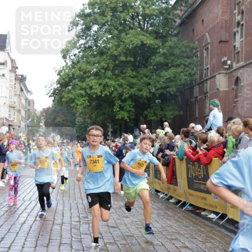 13.09.2026 - Kiel Lauf Yannick Fuchs http://msf.ph/oto/10280410 13.09.2026 08:53:39 Ziel 888, 1149, 1159, 1332, 2016, 5120, 5177, 5455, 6004, 6702, 7240, 8024, 8525, 8671, 8857, 8968, 9816, 10122, 10997, 11185, 11593, 11830, 12548, 12828, 347, 1919, 2570, 2614, 2743, 2985, 3210, 3316, 3328, 3419, 4060, 4291, 4756, 5284, 5342, 5344, 5436, 6103, 6846, 6894, 6979, 7170, 7635, 7875, 8018, 8095, 8510, 8541, 8601, 8819, 8947, 9410, 10122, 10390, 11185, 11455, 12168, 120, 193, 258, 262, 1529, 1823, 2141, 2447, 3234, 4607, 4791, 5432, 6267, 6628 meine-sportfotos.de